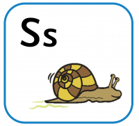 s for snail2